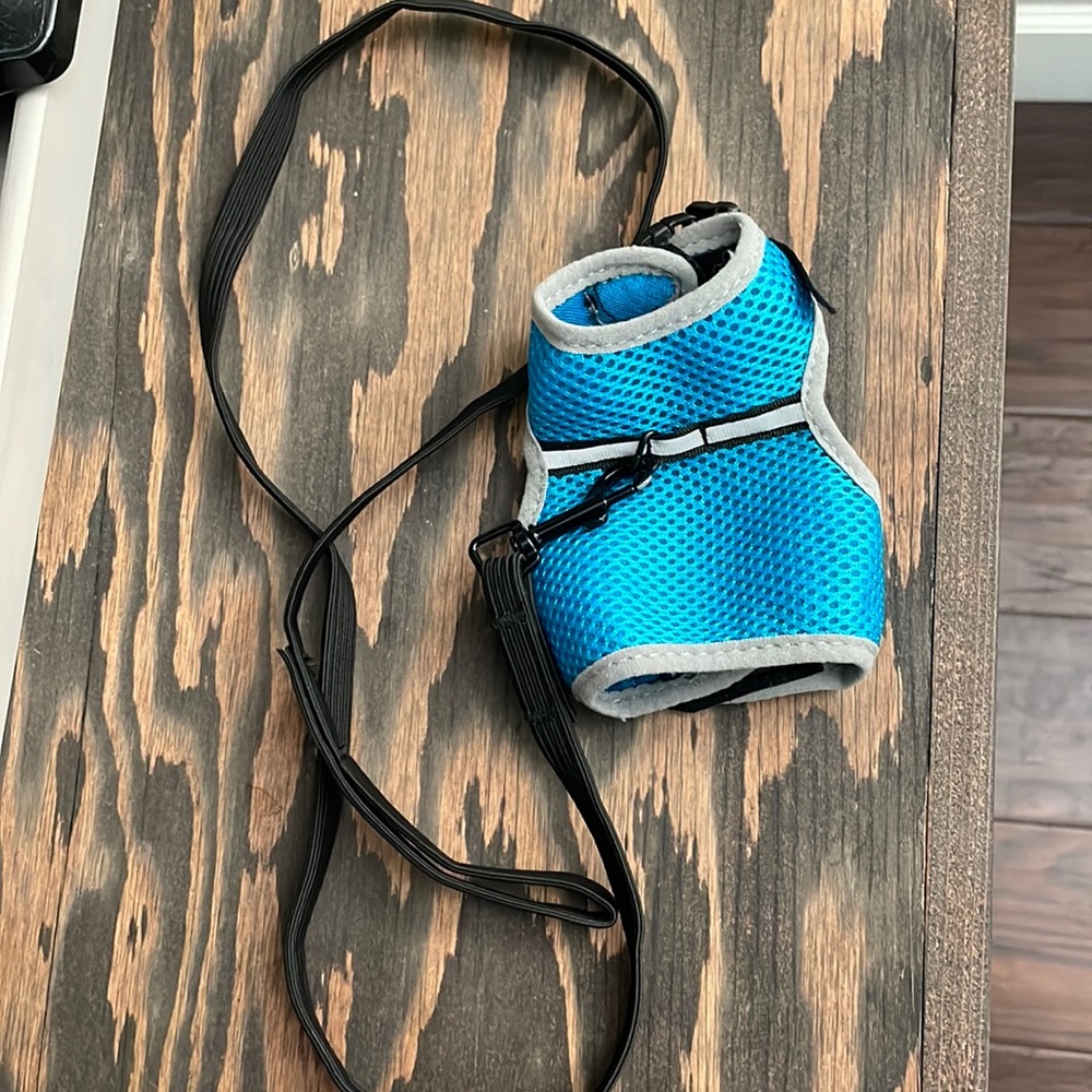 Blue Guinea Pig Walking Harness
